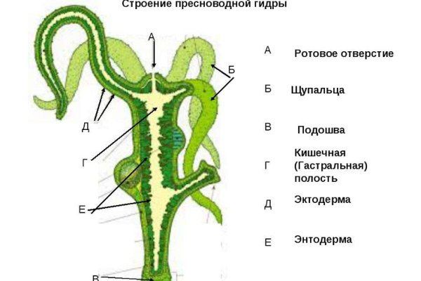 Что такое кракен наркотик