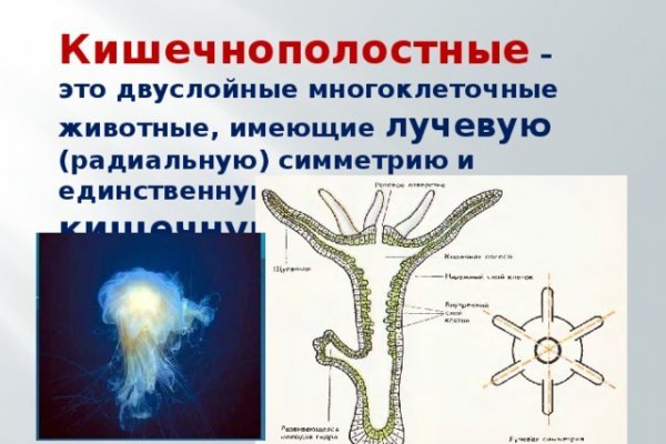 Кракен как войти